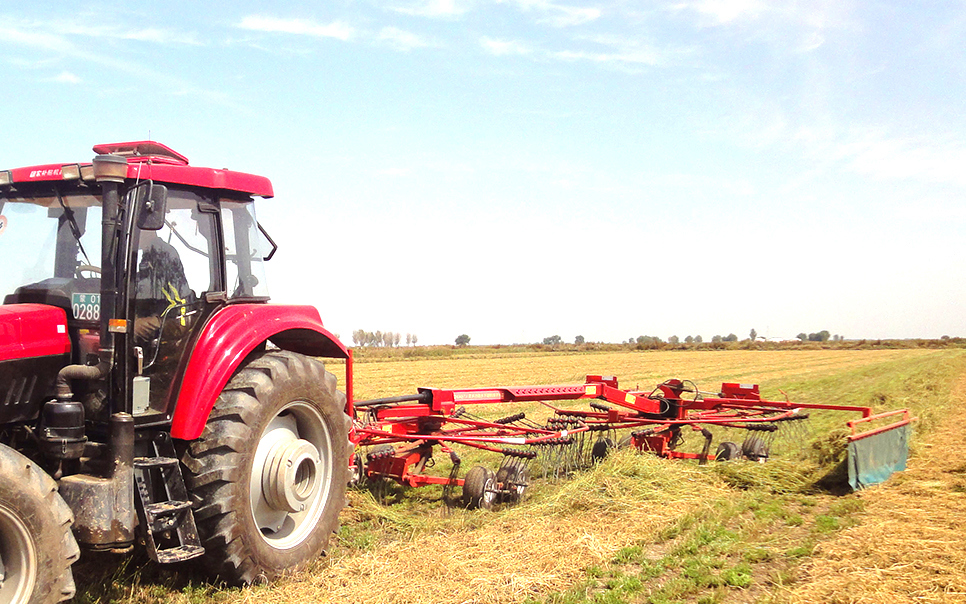 標題：9LSQ-5.3型多功能水平旋轉摟草機
瀏覽次數：32
發(fā)表時(shí)間：2023-12-12