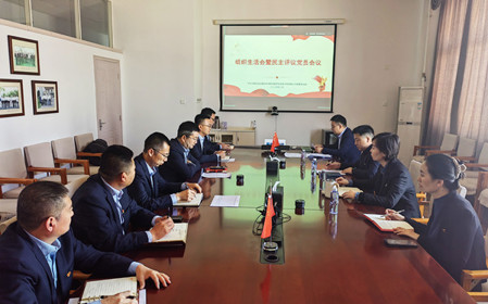 標題：銷(xiāo)售黨支部召開(kāi)組織生活會(huì )暨民主評議黨員會(huì )議
瀏覽次數：709
發(fā)表時(shí)間：2025-02-26